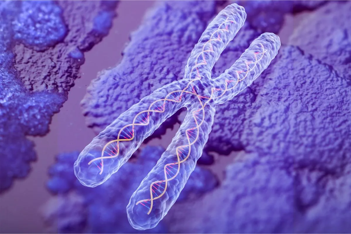 Zdjęcie Ile chromosomów ma człowiek z autyzmem? Zaskakujące fakty genetyczne
