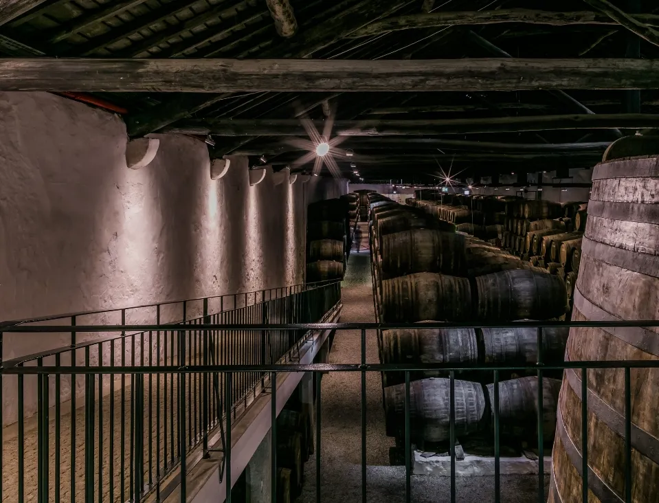 Zdjęcie S&oacute;tano en portugu&eacute;s: &iquest;Por&atilde;o, Cave o Adega? Gu&iacute;a completa