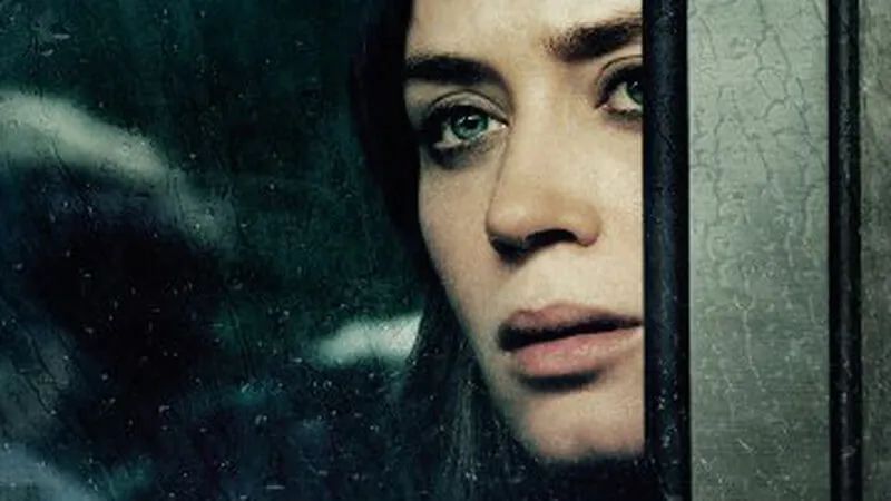 Zdjęcie Zaskakujące zakończenie dziewczyny z pociągu – co naprawdę się wydarzyło?