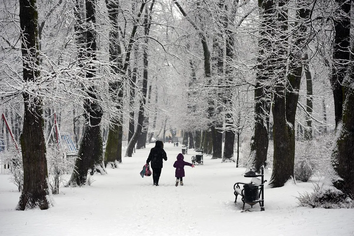 Zdjęcie Ile jest stopni w Radomiu? Sprawdź aktualną temperaturę dzisiaj