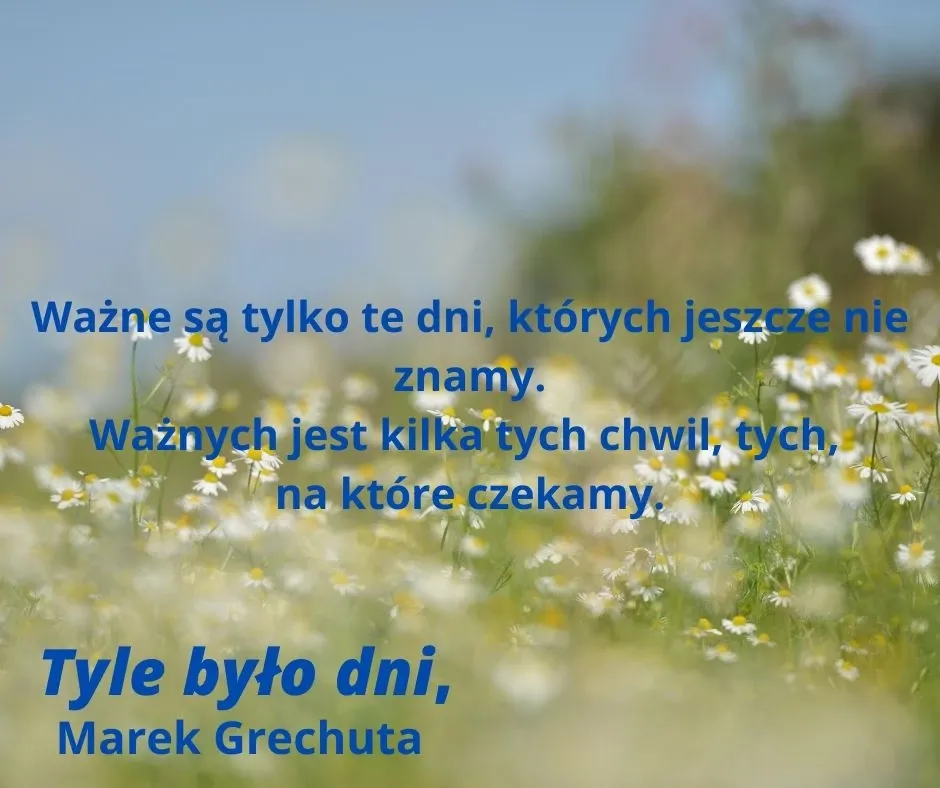 Zdjęcie Tekst piosenki Dni których nie znamy - arcydzieło Marka Grechuty