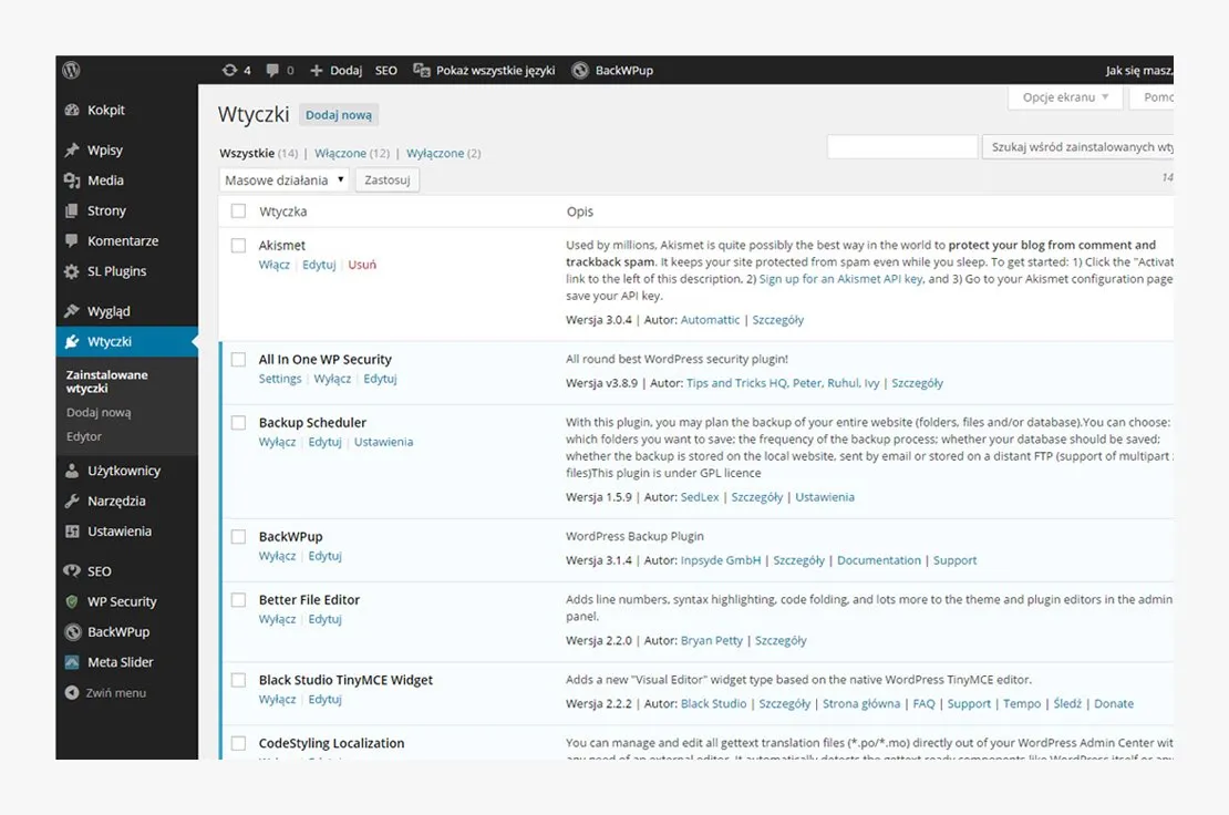Zdjęcie WordPress CMS co to jest? Definicja, funkcje i korzyści z systemu WordPress