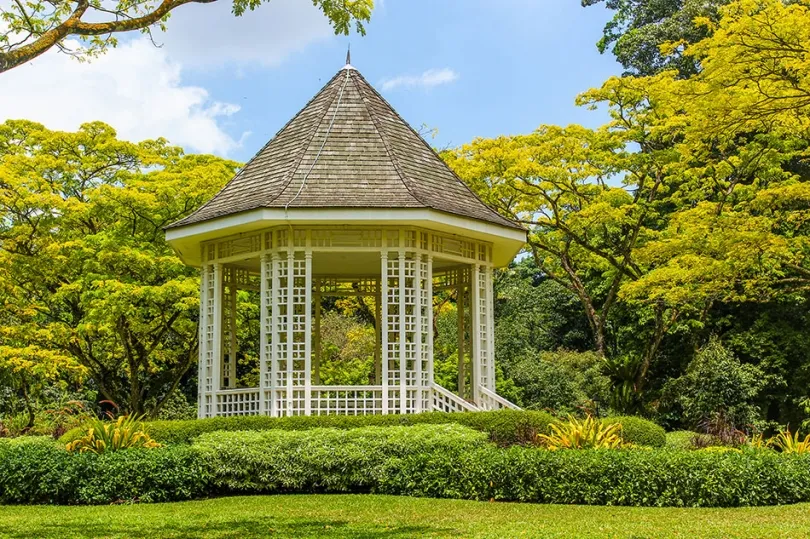 Zdjęcie Malowanie altany: Jaki produkt wybrać? Poradnik krok po kroku