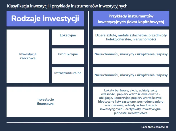 Zdjęcie Czy warto inwestować w akcje? Odkryj ryzyka i zyski inwestycji