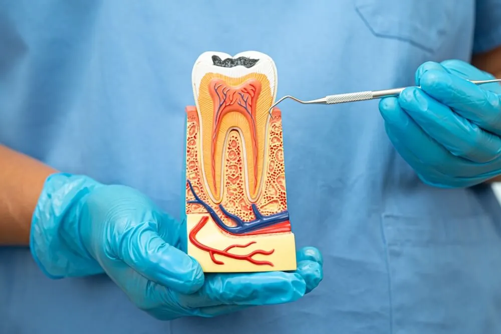 Zdjęcie Ile trwa wizyta u dentysty? Poznaj czas trwania różnych zabiegów