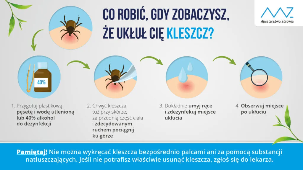 Zdjęcie Jak wygląda ugryzienie przez kleszcza? Objawy, zagrożenia i co robić