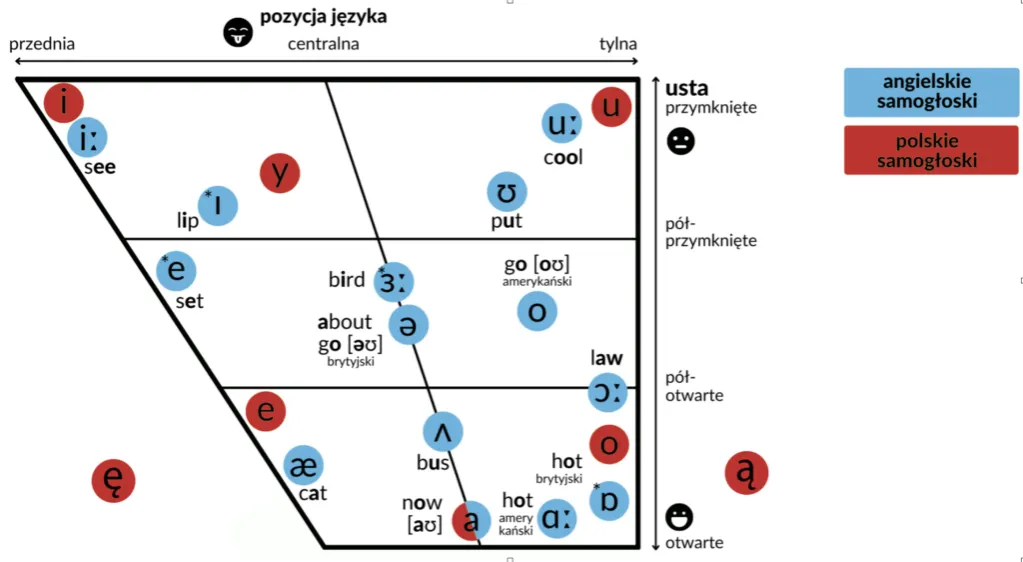 Zdjęcie Debata: Synonimy i konteksty użycia