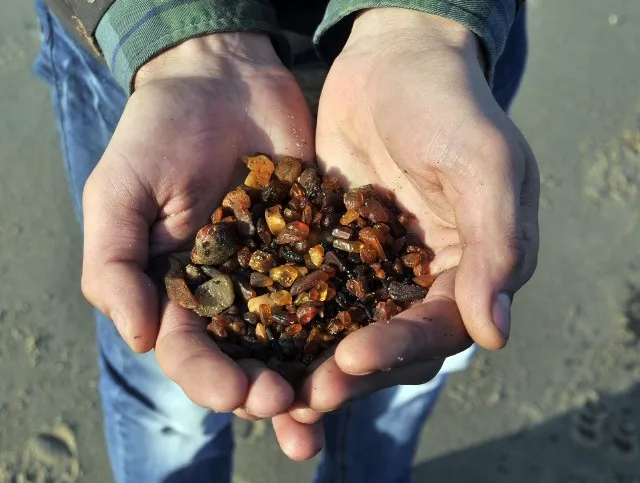 Zdjęcie Gdzie szukać bursztynu nad Bałtykiem? Odkryj najlepsze miejsca i porady