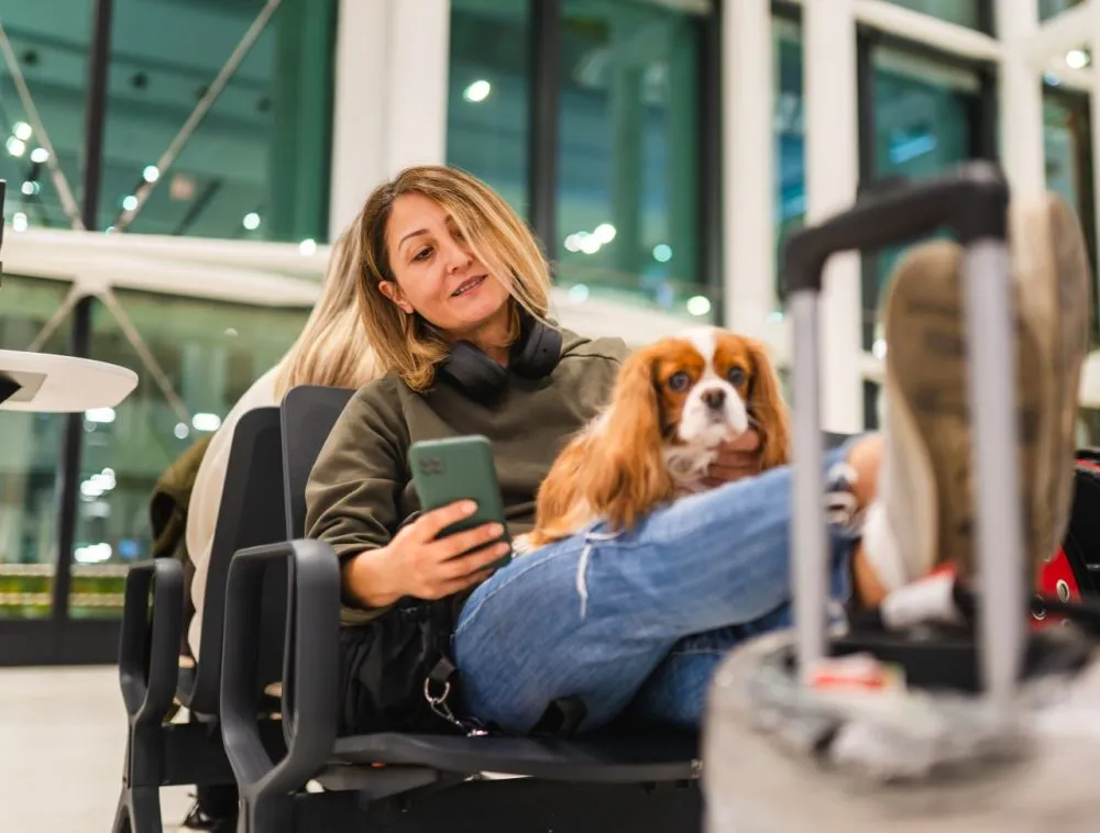 Zdjęcie Czy Wizzair przewozi zwierzęta? Co musisz wiedzieć przed lotem