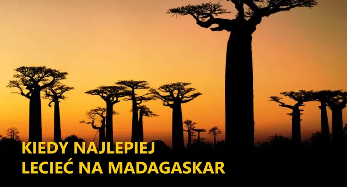 Zdjęcie Madagaskar kiedy jechać: najlepszy czas na niezapomniane przygody