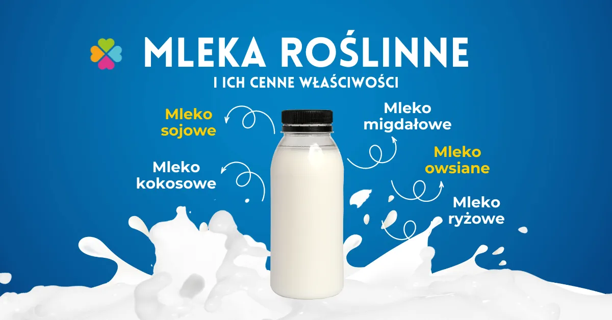 Zdjęcie Co to jest mleko roślinne? Poznaj jego rodzaje i korzyści zdrowotne