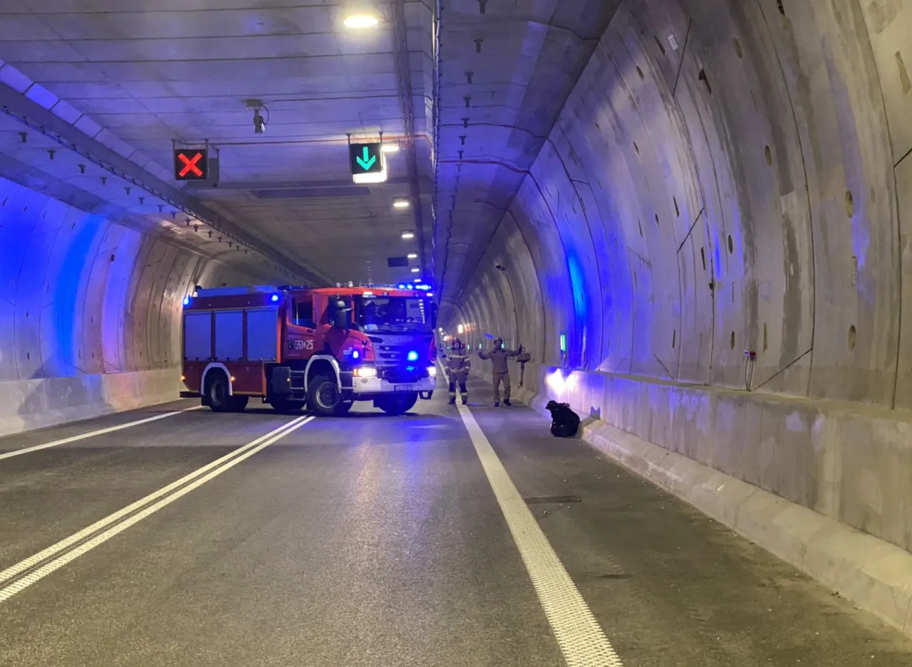 Zdjęcie Jak dojechać do Świnoujścia prom - najważniejsze informacje i porady
