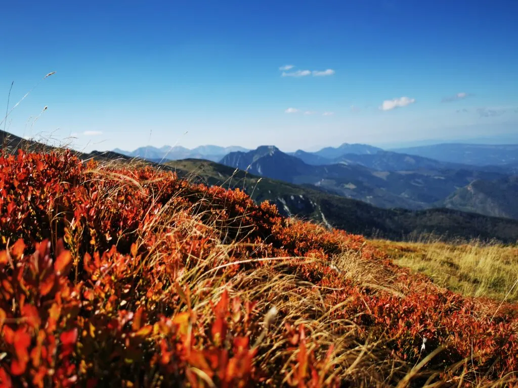 Zdjęcie Skąd pochodzi nazwa Czerwone Wierchy? Odkryj jej fascynującą historię