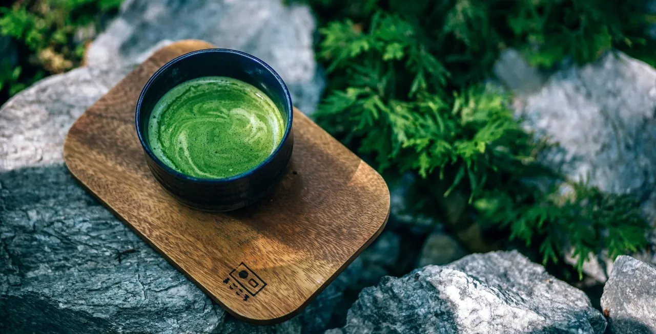 Zdjęcie Matcha jaką kupić - wybierz najlepszą herbatę i uniknij rozczarowania