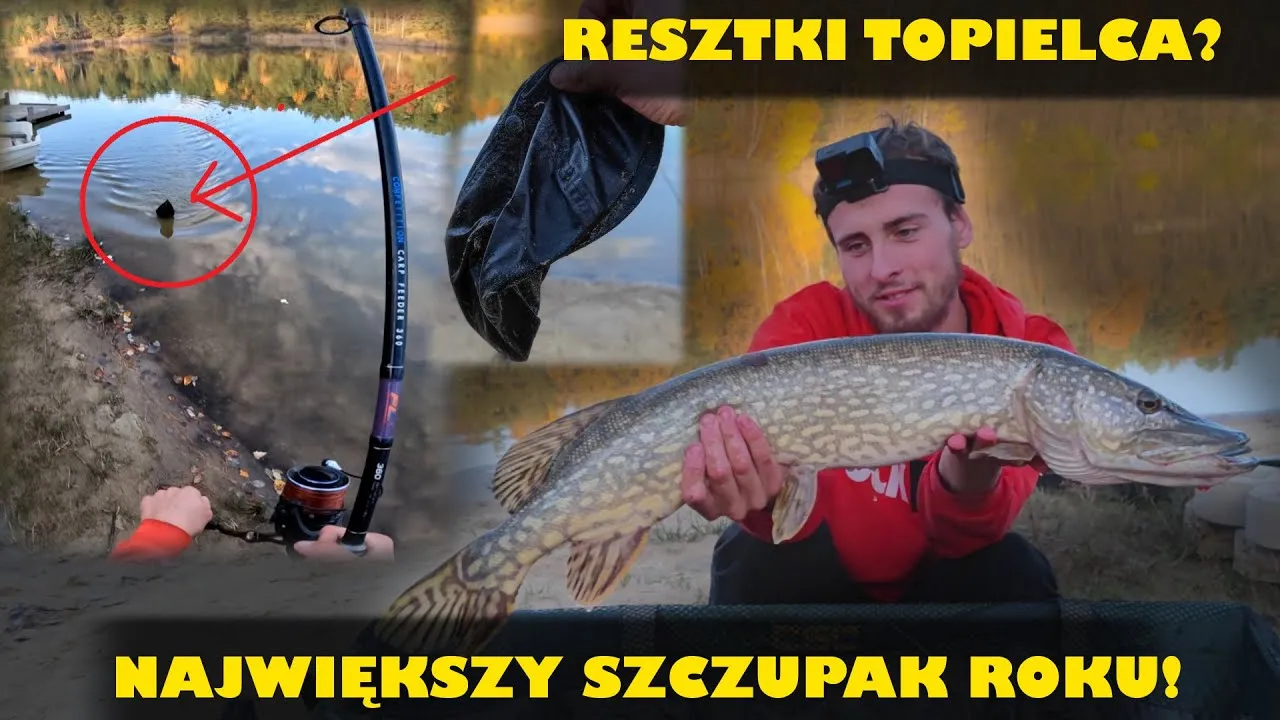 Zdjęcie Jakie ryby na żywca wybrać, aby złowić największe drapieżniki?