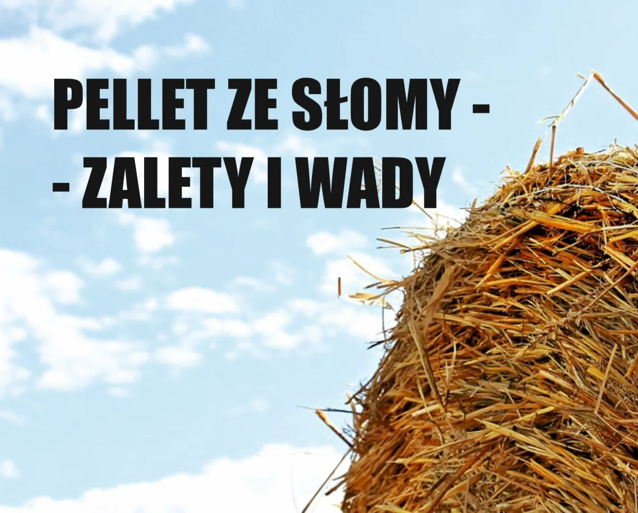 Zdjęcie Jak zrobić pellet ze słomy - proste kroki na efektywne biopaliwo
