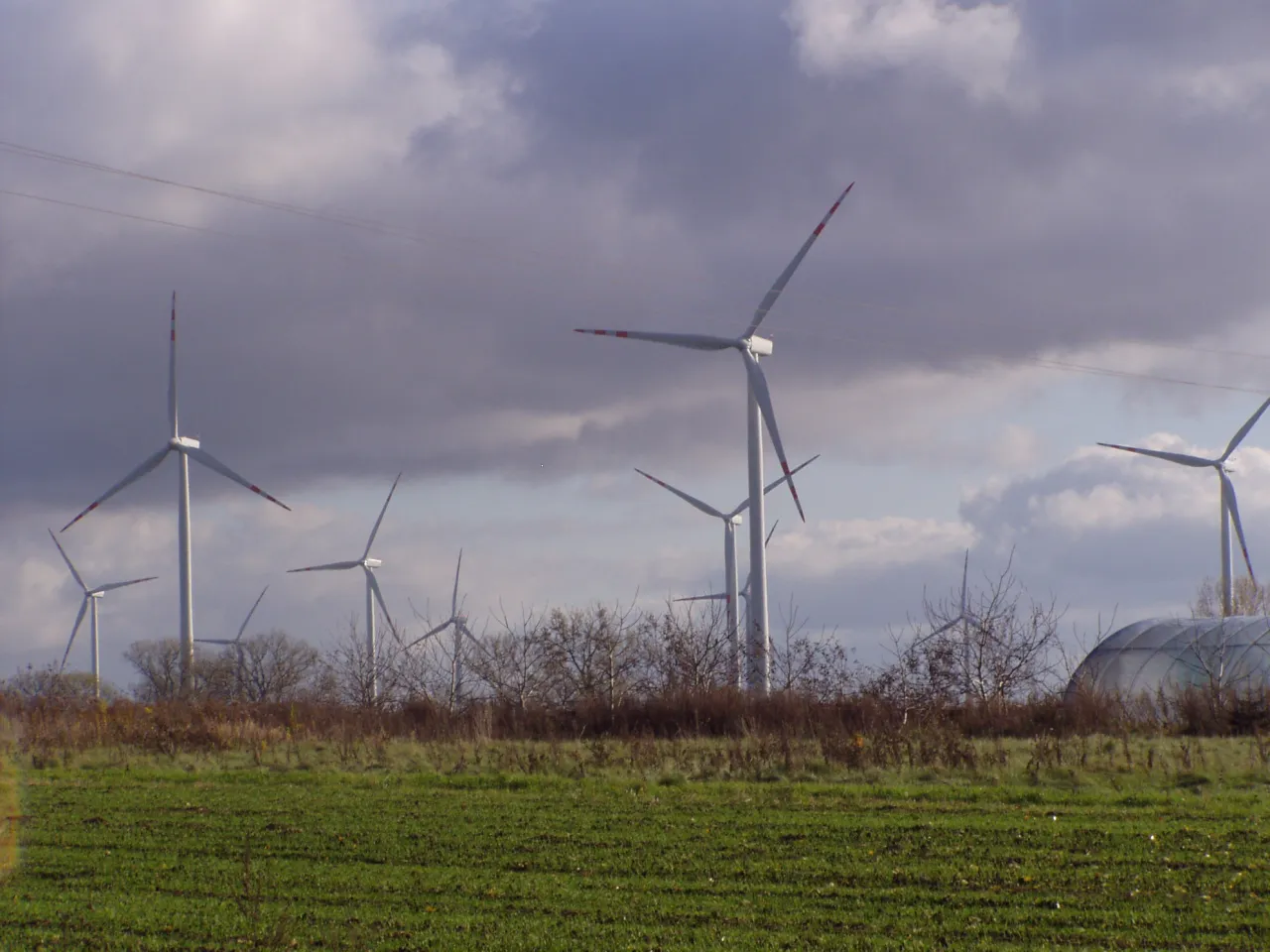 Zdjęcie Wady energii wiatrowej: Dlaczego warto znać ich negatywne skutki