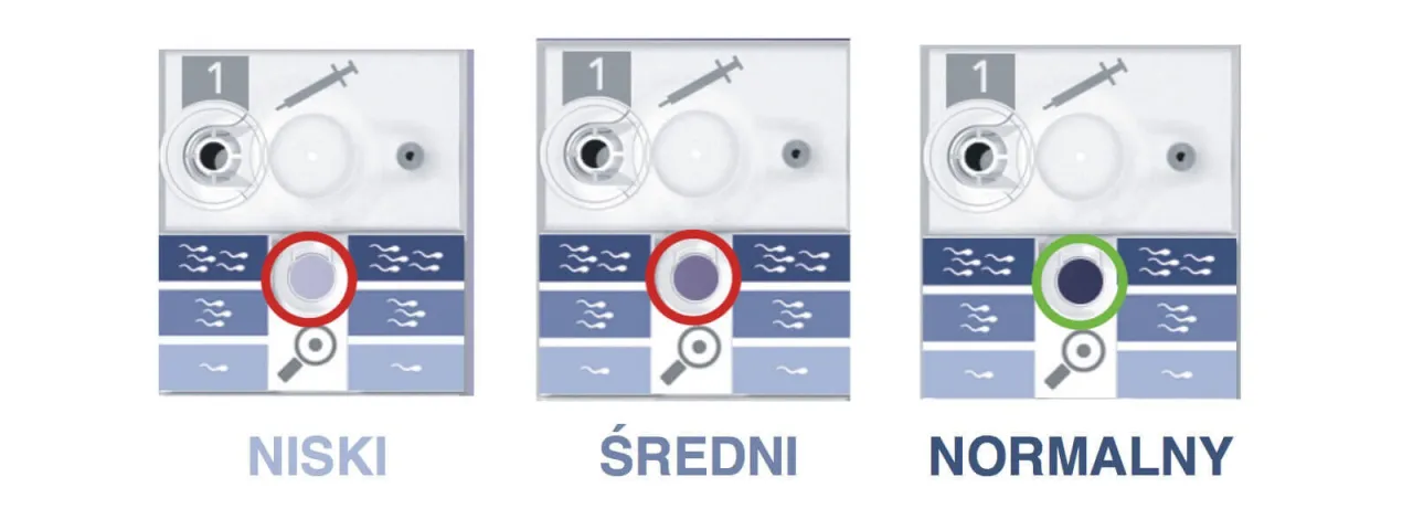 Zdjęcie Złe wyniki nasienia? Sprawdź, co dalej i jak poprawić płodność