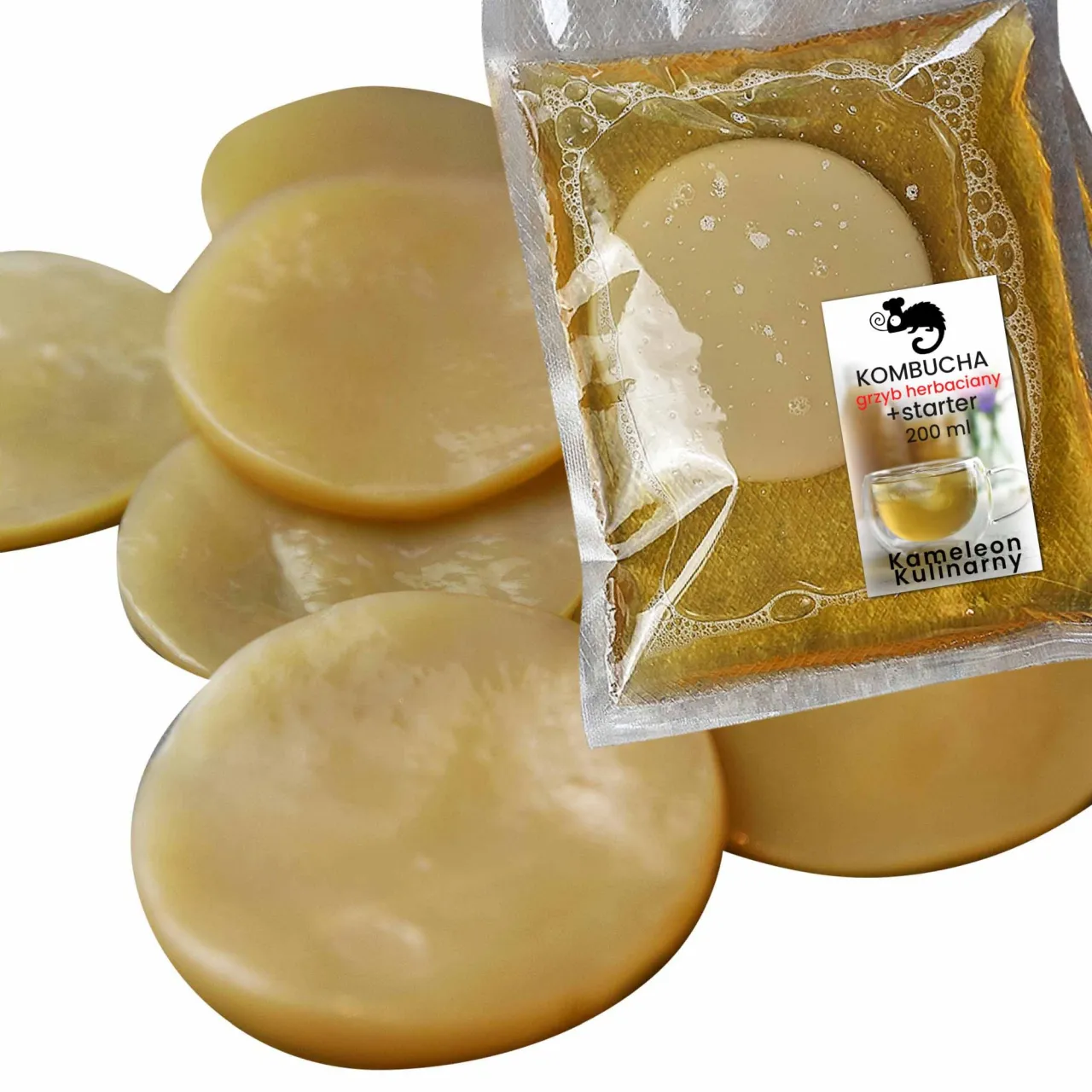 Zdjęcie Gdzie kupić grzyb kombucha? Sprawdzone źródła i porady na start
