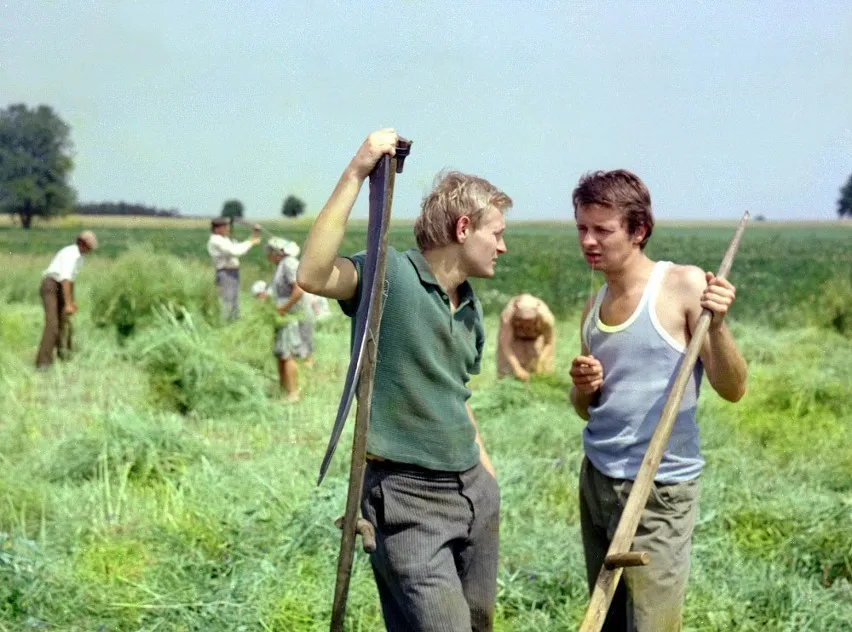 Zdjęcie Serial Daleko od szosy: ile odcinków ma kultowa produkcja TVP z 1976?