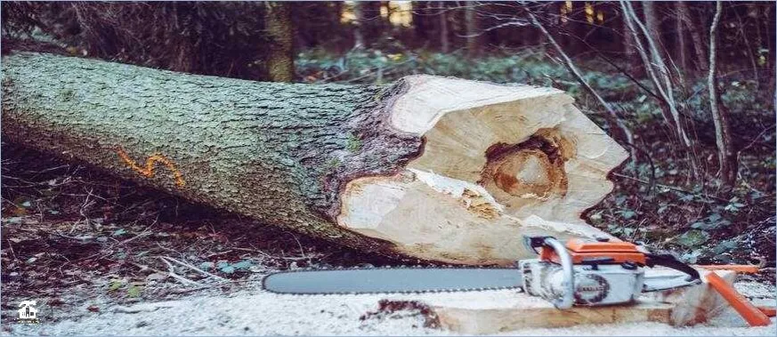 Zdjęcie Jaka pilarka Stihl jest najlepsza? Porównanie modeli i porady przed zakupem
