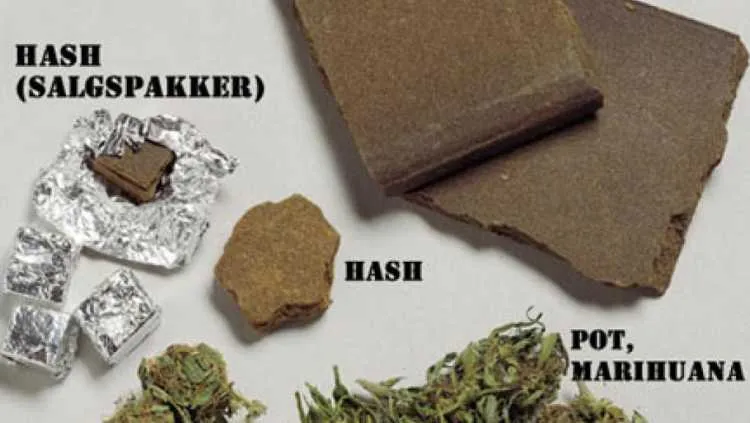 Zdjęcie Hash - Co to jest i jak działa? Funkcje skrótu wyjaśnione