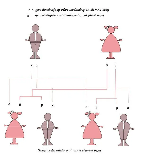 Zdjęcie Po kim dziedziczymy urodę? Zaskakujące fakty o genach i wyglądzie