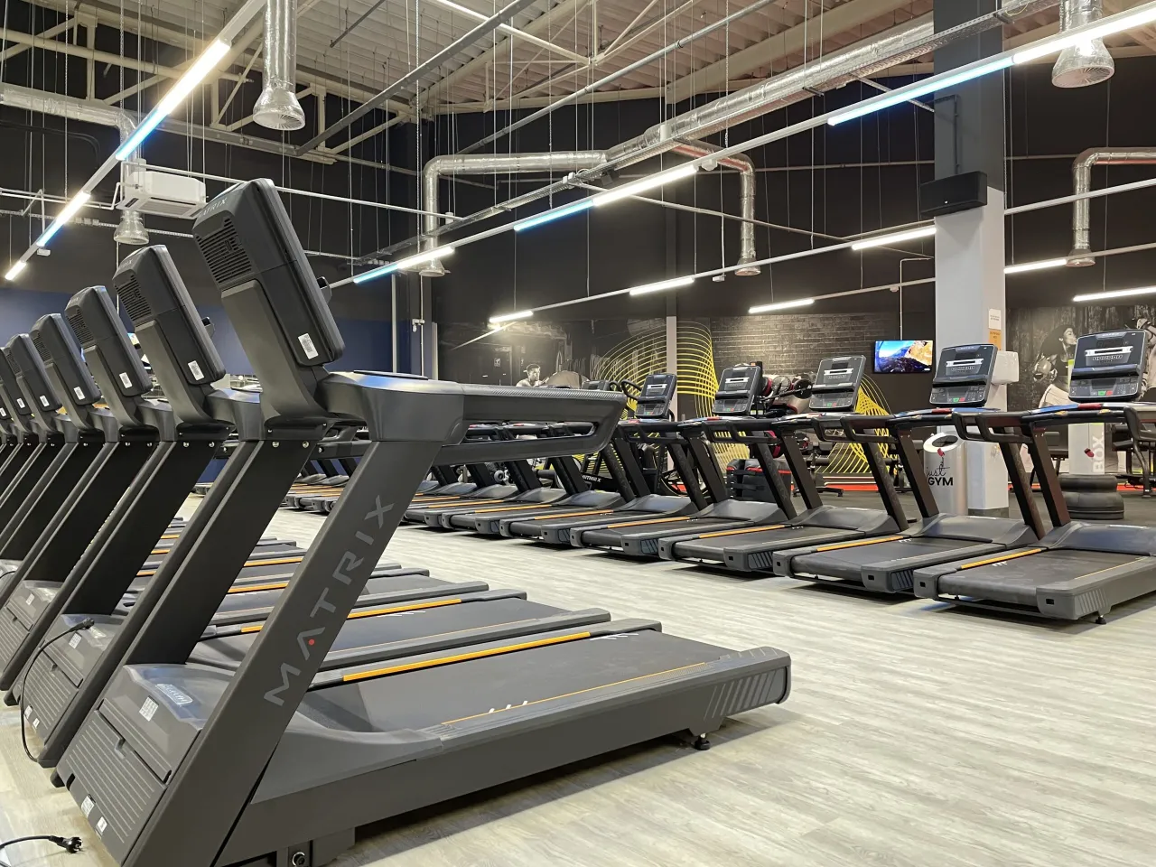 Zdjęcie Czy w McFIT jest MultiSport? Sprawdź, dlaczego warto wiedzieć!