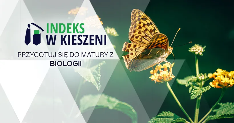 Zdjęcie Co po rozszerzonej biologii? Odkryj możliwości studiów i kariery