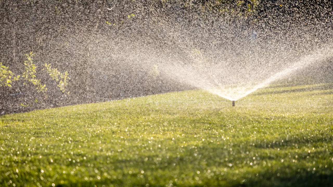 Zdjęcie Zraszacz wahadłowy czy obrotowy? Sprawdź, kt&oacute;ry wybrać!