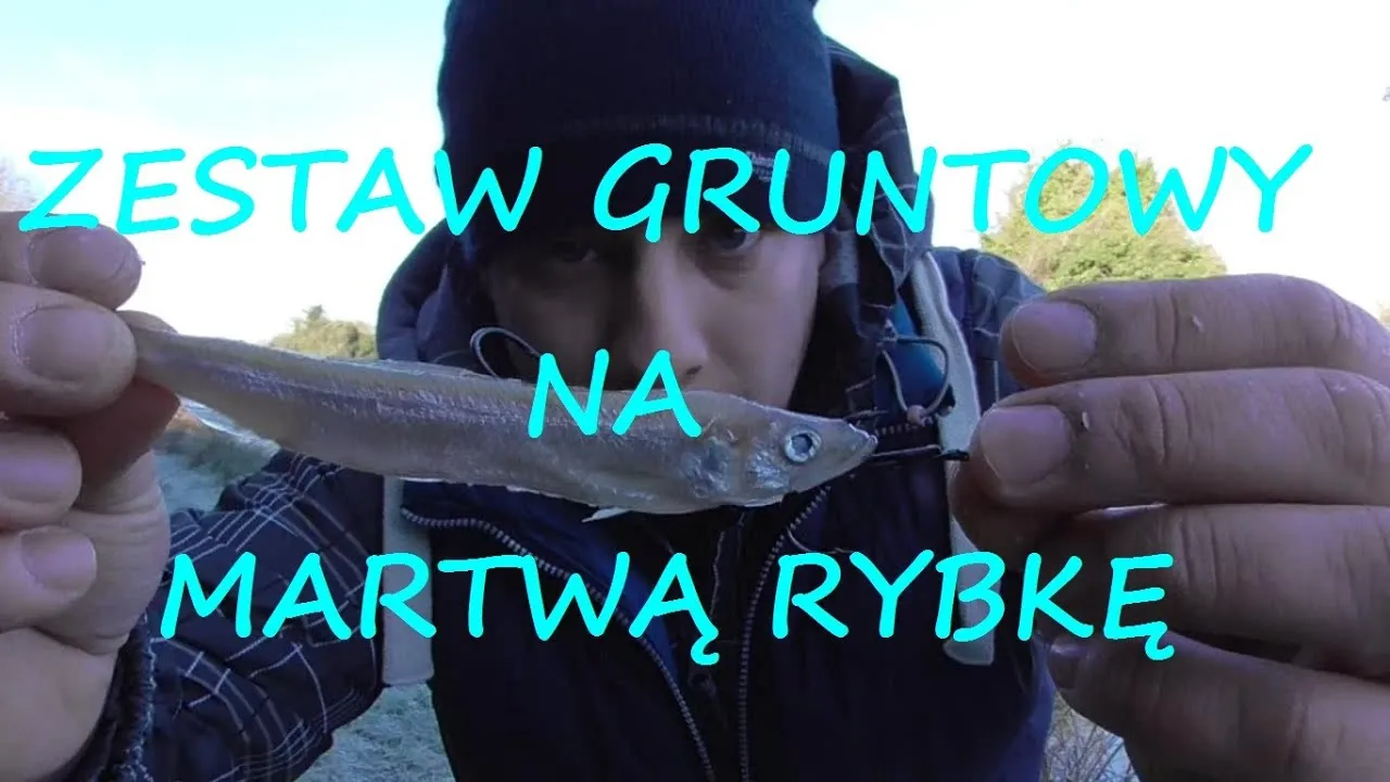 Zdjęcie Jak skutecznie wykorzystać małą rybkę jako przynętę na drapieżniki