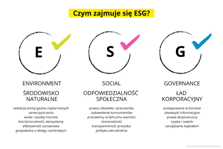 Zdjęcie Polityka zrównoważonego rozwoju w firmie: jak uniknąć kosztów i zyskać?