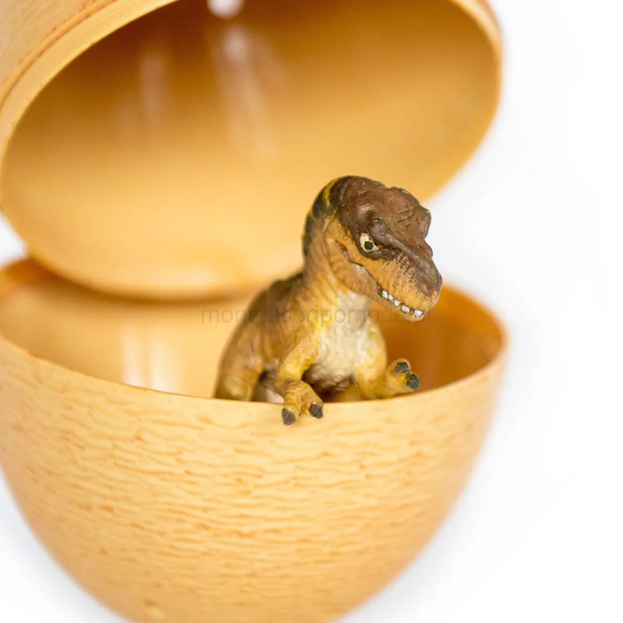 Zdjęcie Jajo dinozaura zabawka - odkryj fascynujący świat paleontologii
