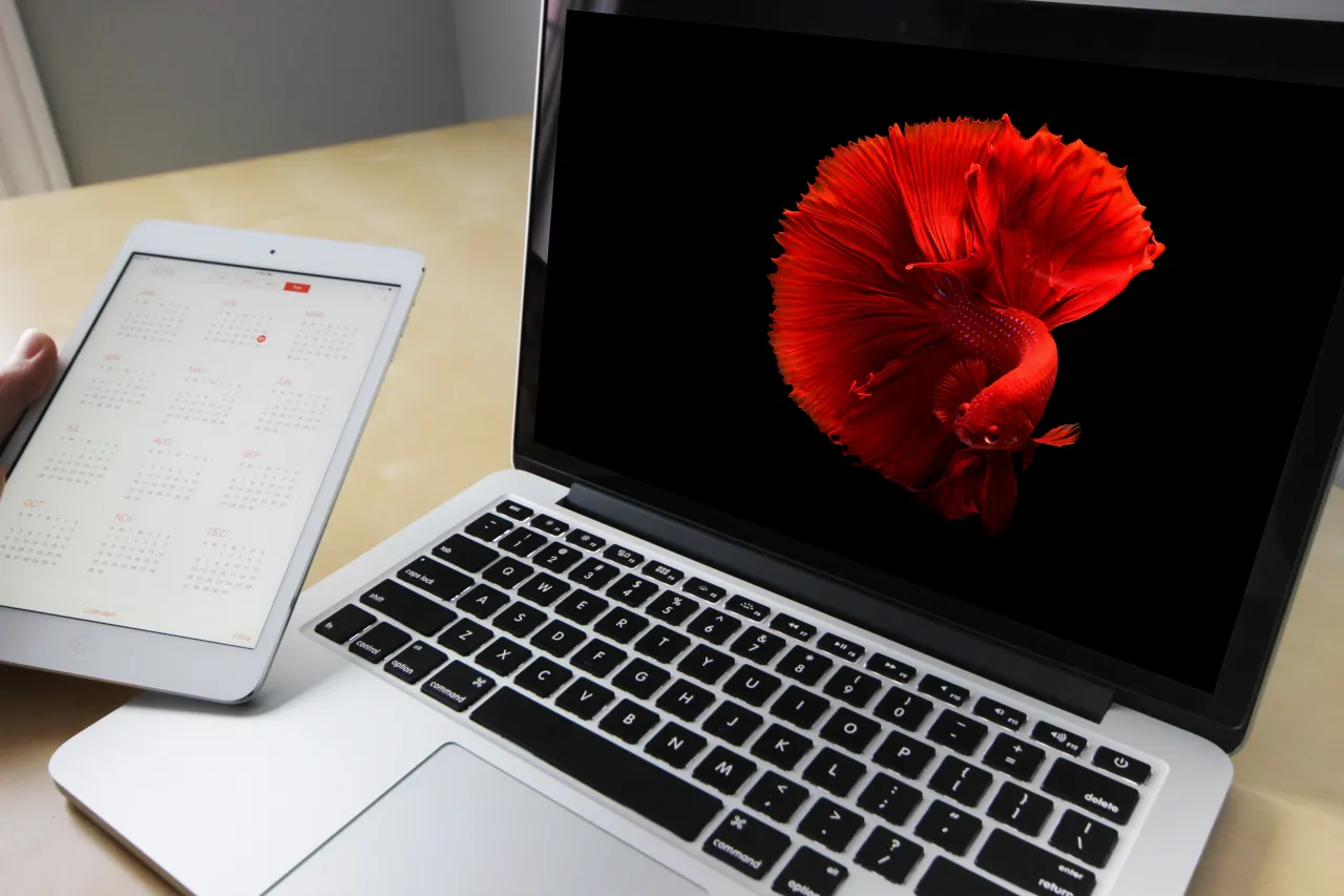 Zdjęcie Najlepszy laptop dla fotografa: wybierz sprzęt, który nie zawiedzie