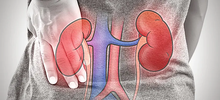 Zdjęcie Jakie badania pod kątem nerek pomogą ocenić ich zdrowie?