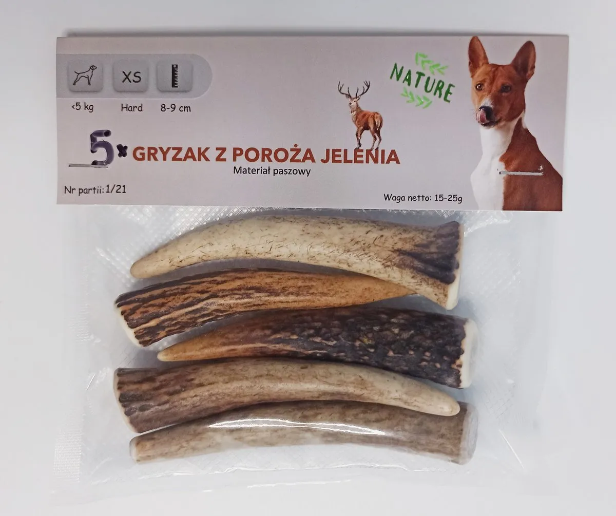 Zdjęcie Róg jelenia dla psa od kiedy? Dowiedz się, kiedy jest bezpieczny