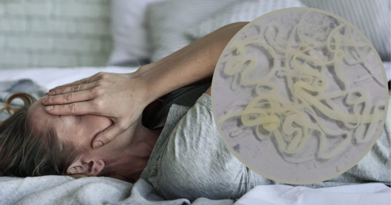 Zdjęcie Pasożyty a objawy psychiczne: jak infekcje wpływają na zdrowie psychiczne