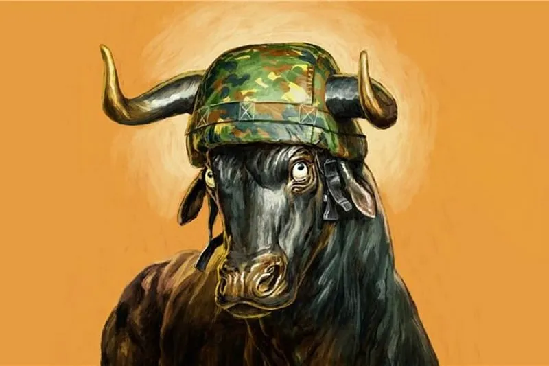 Zdjęcie Finanzkrise vorsorge für den ernstfall: So schützen Sie Ihr Vermögen