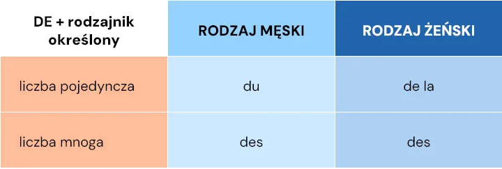 Zdjęcie Przyimki francuskie: Kluczowe zasady i najczęstsze błędy w użyciu