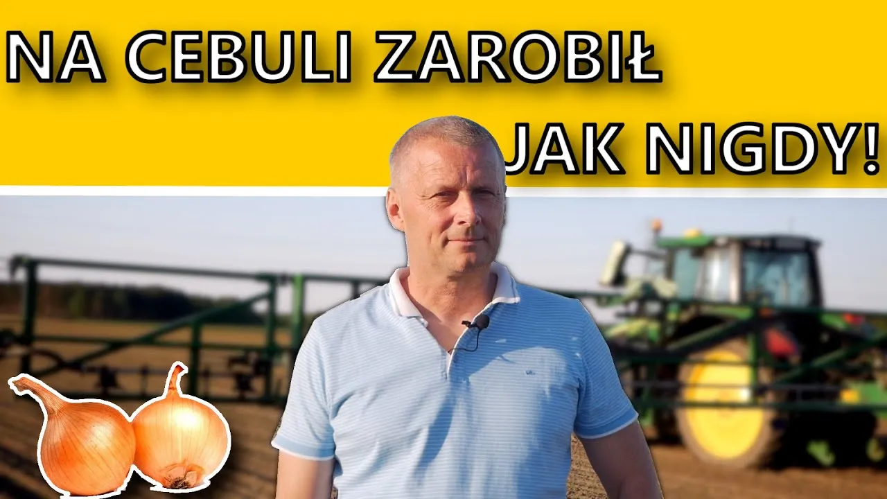 Zdjęcie Ile można zarobić na obieraniu cebuli? Sprawdź realne stawki pracy