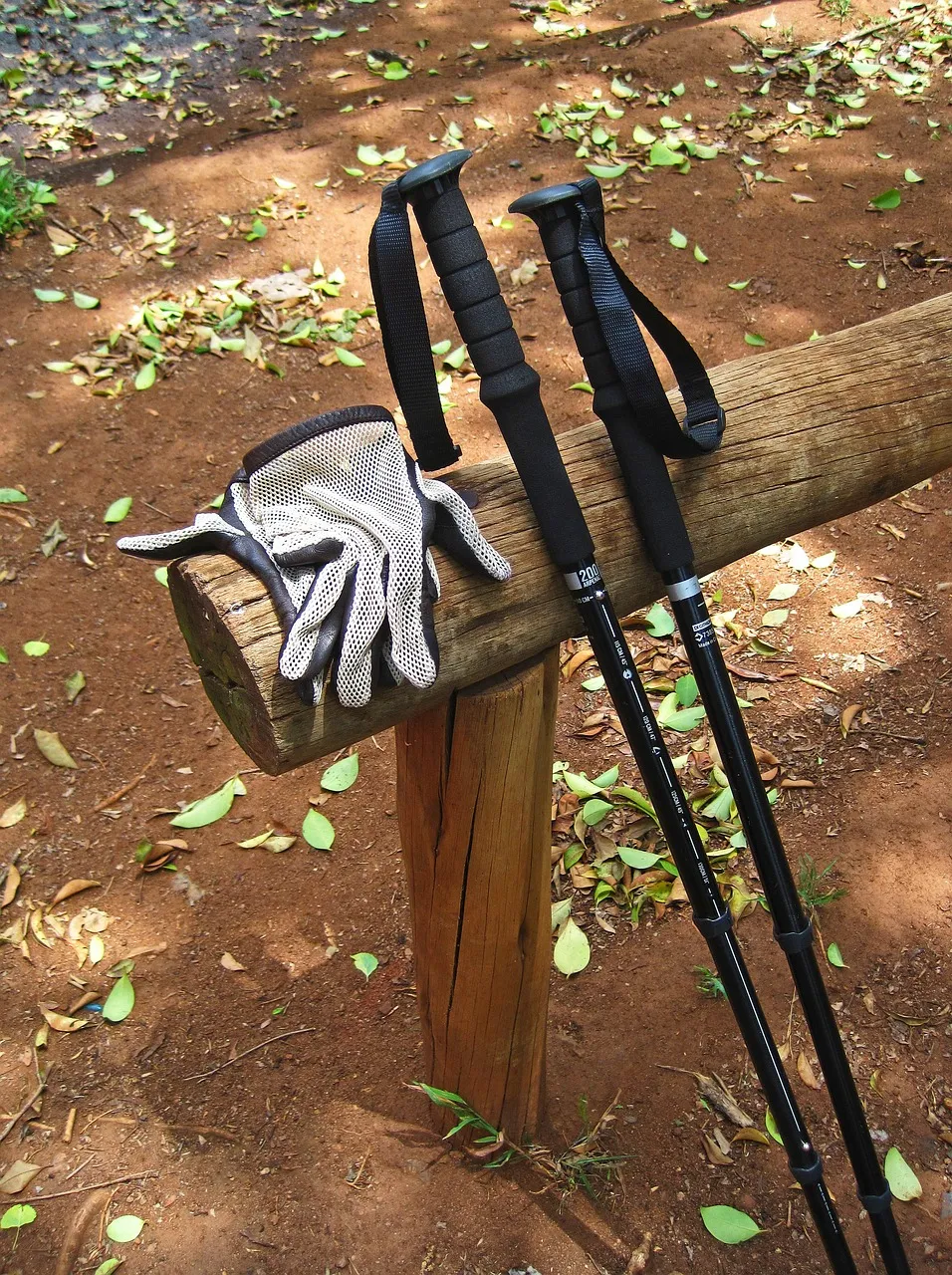 Zdjęcie Jakie kijki trekkingowe wybrać, by uniknąć błędów w wyborze?