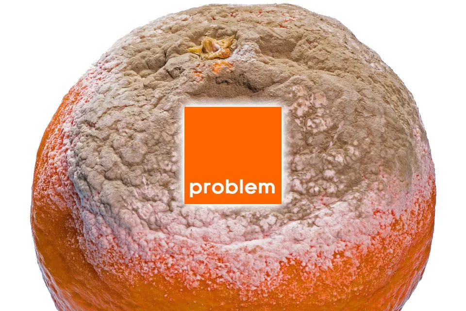 Zdjęcie Jak napisać odstąpienie od umowy Orange i uniknąć problemów?