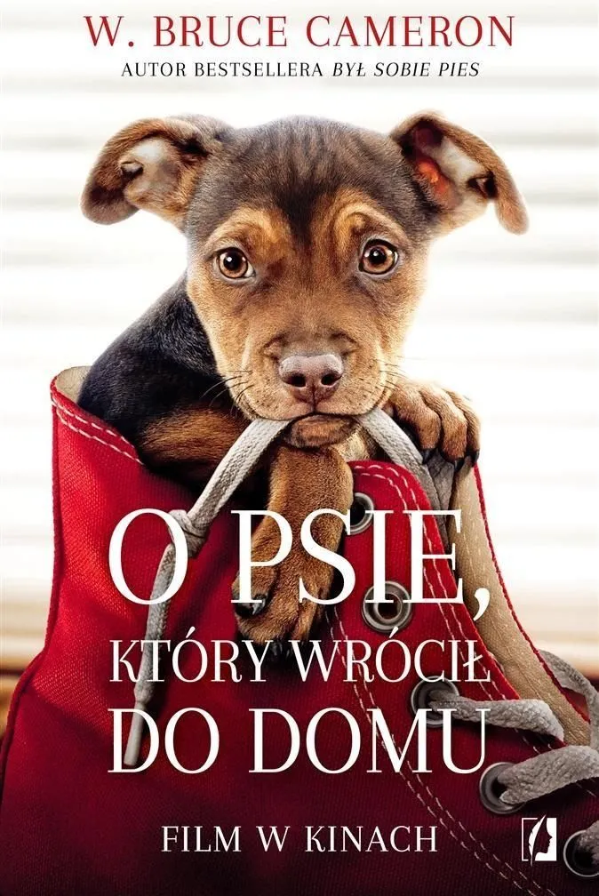 Zdjęcie O psie który wrócił do domu książka - poruszająca historia miłości