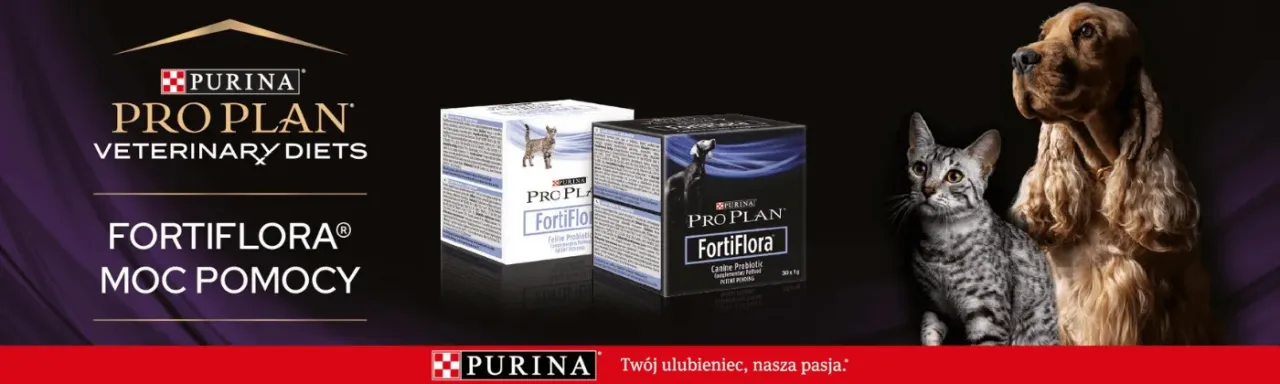 Zdjęcie Jaki probiotyk dla psa wybrać, aby poprawić zdrowie pupila?