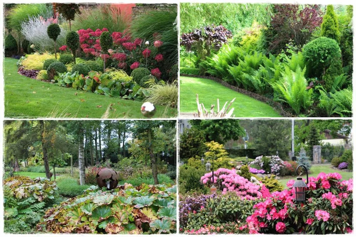 Zdjęcie Kwiaty do cienia: Jak stworzyć piękny ogr&oacute;d i balkon?