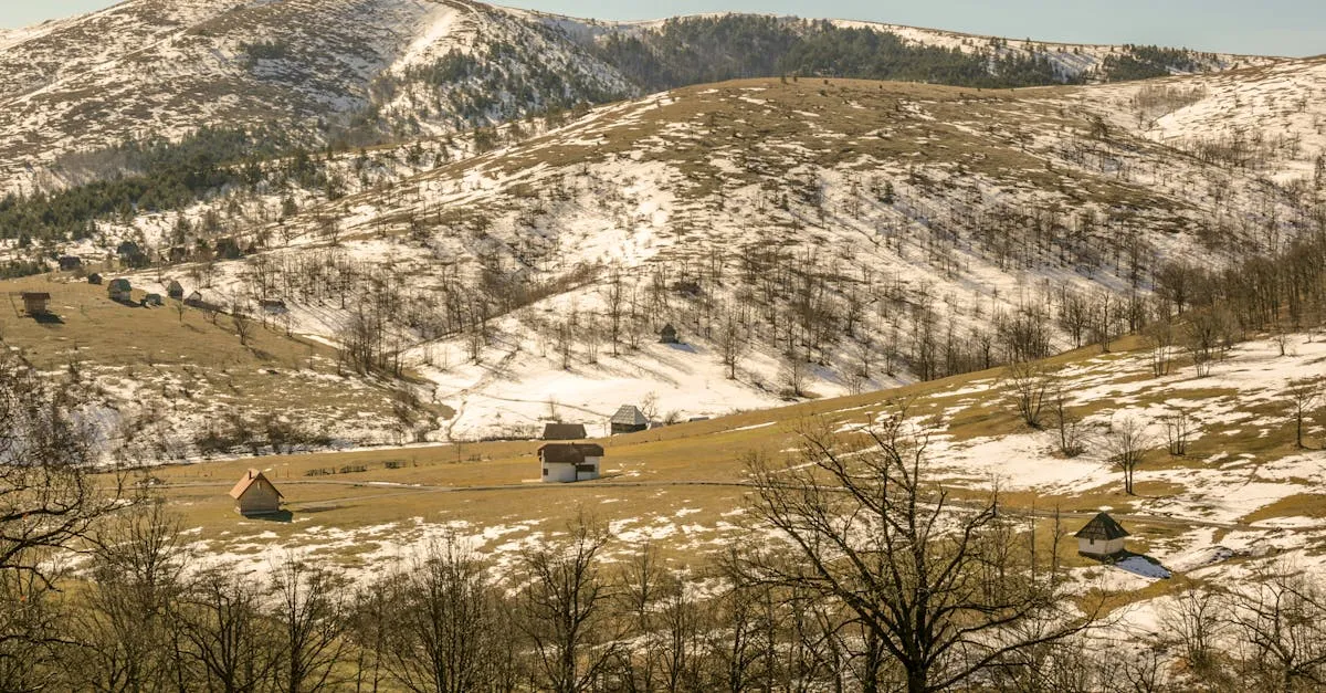 Zdjęcie Czy wieża w Zawoi oferuje najlepszą panoramę Beskidów? Sprawdź sam