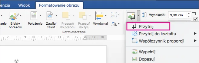 Zdjęcie Podpisywanie obrazów w PowerPoint - prosty sposób na efektowne prezentacje