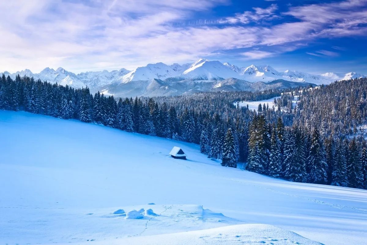 Zdjęcie Kulig w Bukowinie Tatrzańskiej – niezapomniane zimowe przeżycie