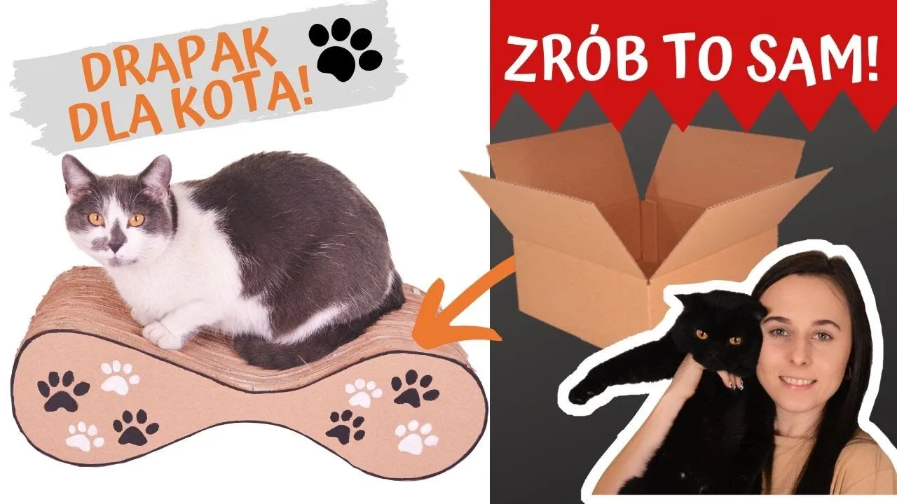 Zdjęcie Jak zrobić drapak dla kota z tuby - prosty sposób na radość kota