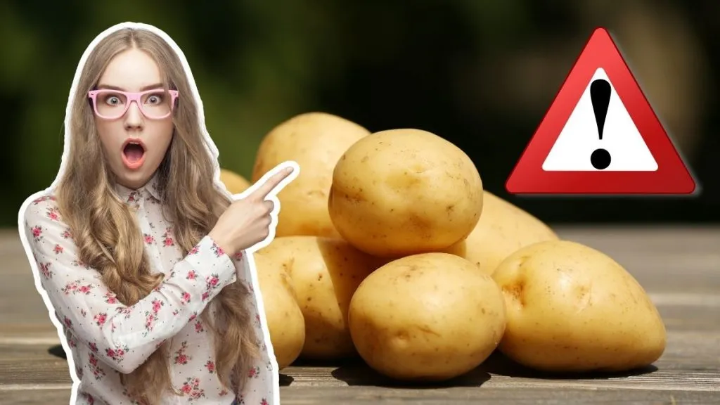 Zdjęcie Czy można przewieźć ziemniaki do Niemiec bez ryzyka kar? Ważne informacje